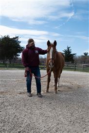 LR-WRF 0402026 Retreat-3074